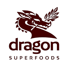 dragon_logo