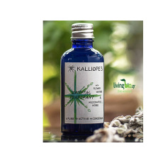 kalliopesrefill
