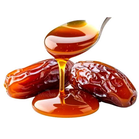 1_ob1