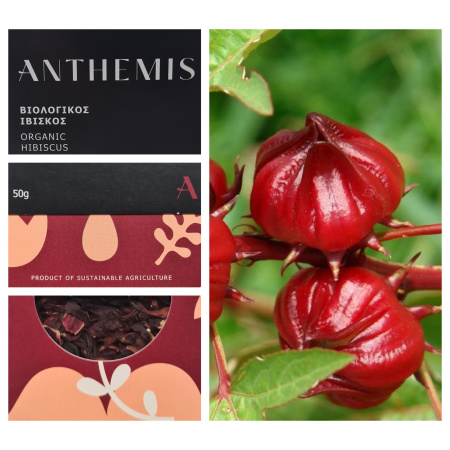 anthemis_ibiskos1