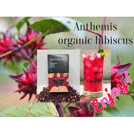anthemis_ibiskos3